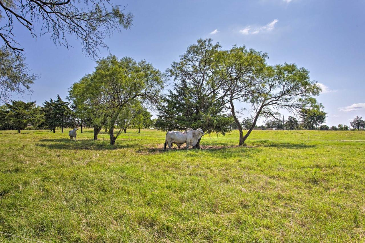 Texas Cabin On 130 Acres Walk To Lake Ray Roberts คอลลินส์วิลล์ ภายนอก รูปภาพ